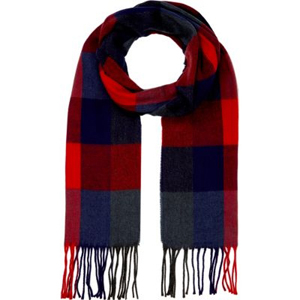  photo echarpe_zps4bd315c7.jpg